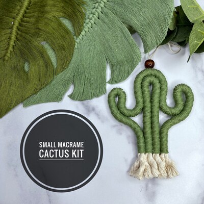 DIY SMALL Macrame Cactus Craft Kit Yarn Rope Wall Hanging Kit, Adult Craft Kits, DIY Crafts, Plants, Kid and Teen Craft Kit - image1